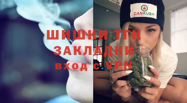 a pvp Бородино