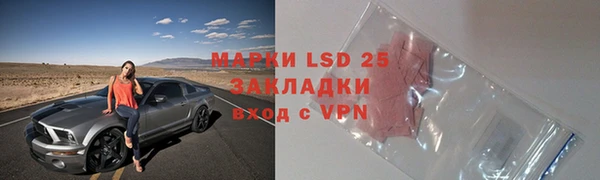 a pvp Бородино