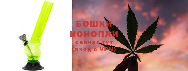 a pvp Бородино